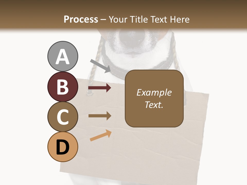 Paper Animal Beautiful PowerPoint Template