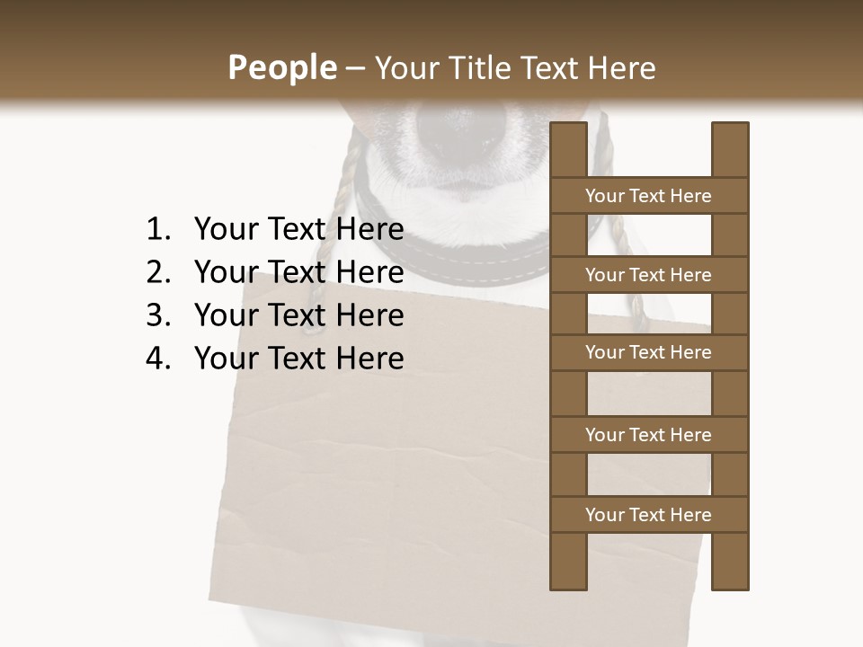 Paper Animal Beautiful PowerPoint Template