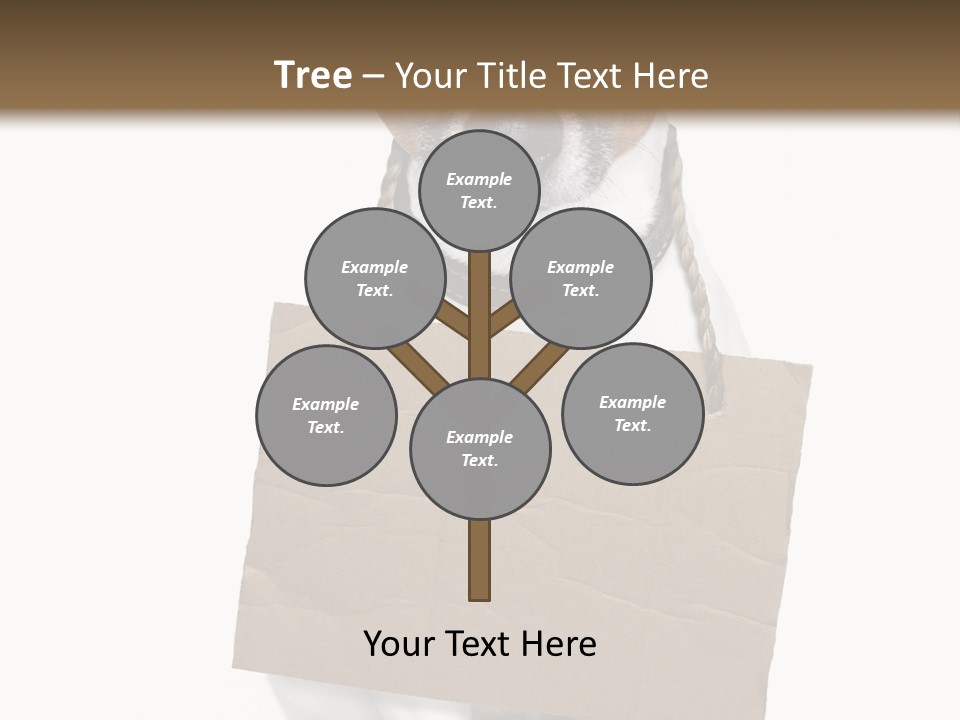 Paper Animal Beautiful PowerPoint Template