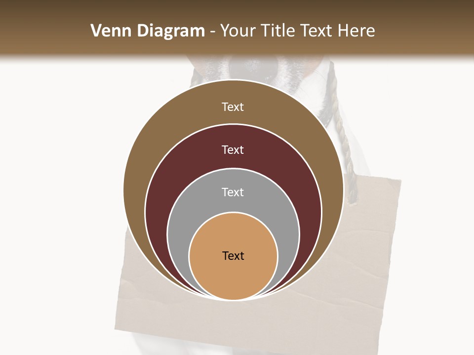 Paper Animal Beautiful PowerPoint Template