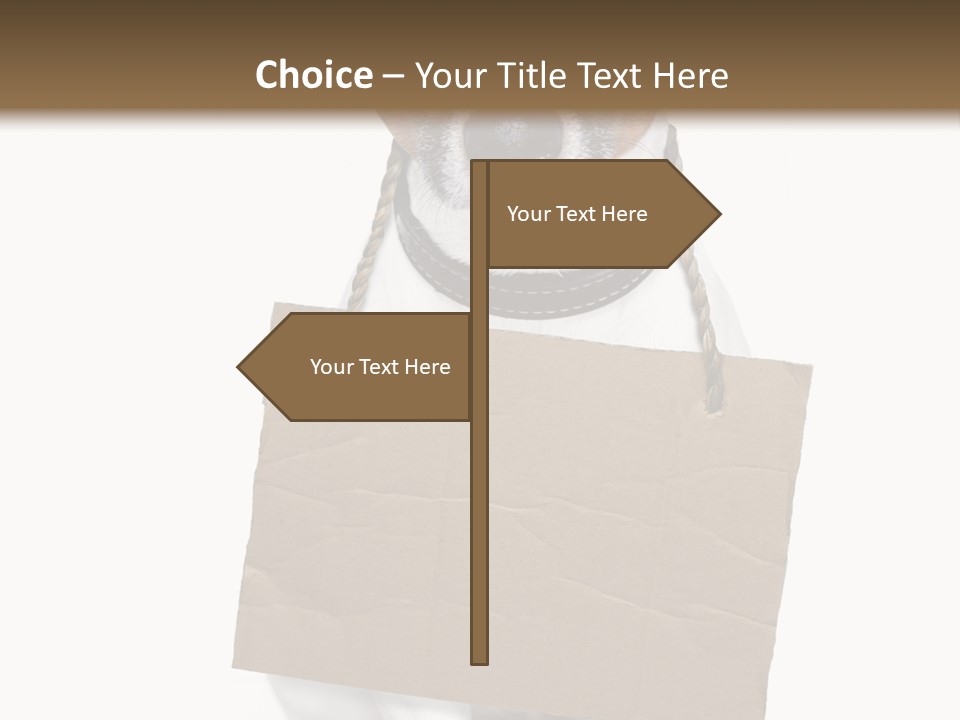 Paper Animal Beautiful PowerPoint Template