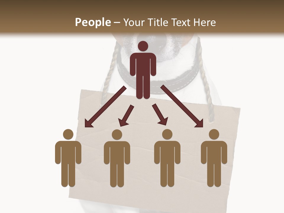 Paper Animal Beautiful PowerPoint Template