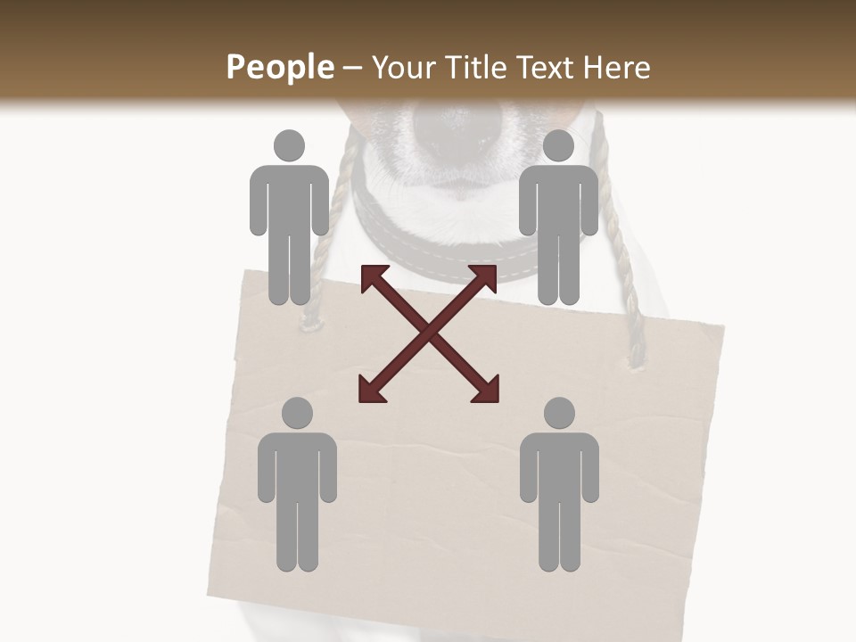 Paper Animal Beautiful PowerPoint Template