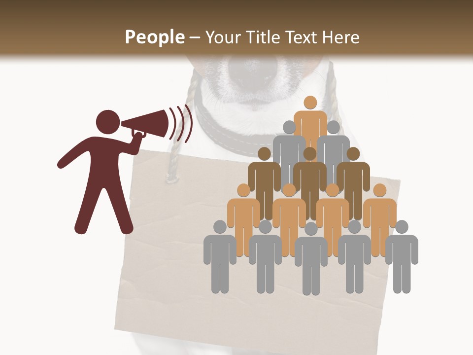 Paper Animal Beautiful PowerPoint Template