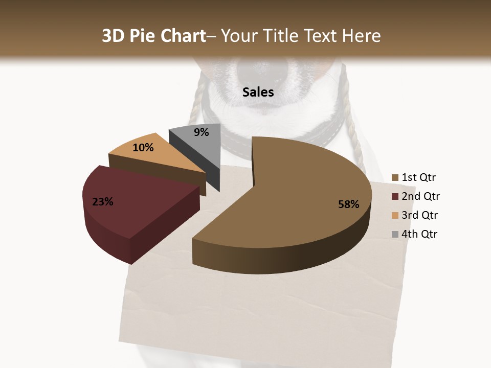 Paper Animal Beautiful PowerPoint Template