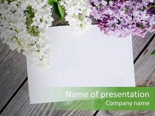 Board Transparent Scented PowerPoint Template