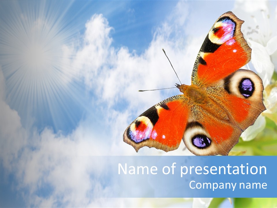 Sky Natural Background Funny Animals PowerPoint Template