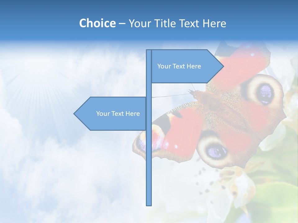 Sky Natural Background Funny Animals PowerPoint Template