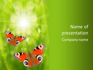 Garden Insect Dew PowerPoint Template