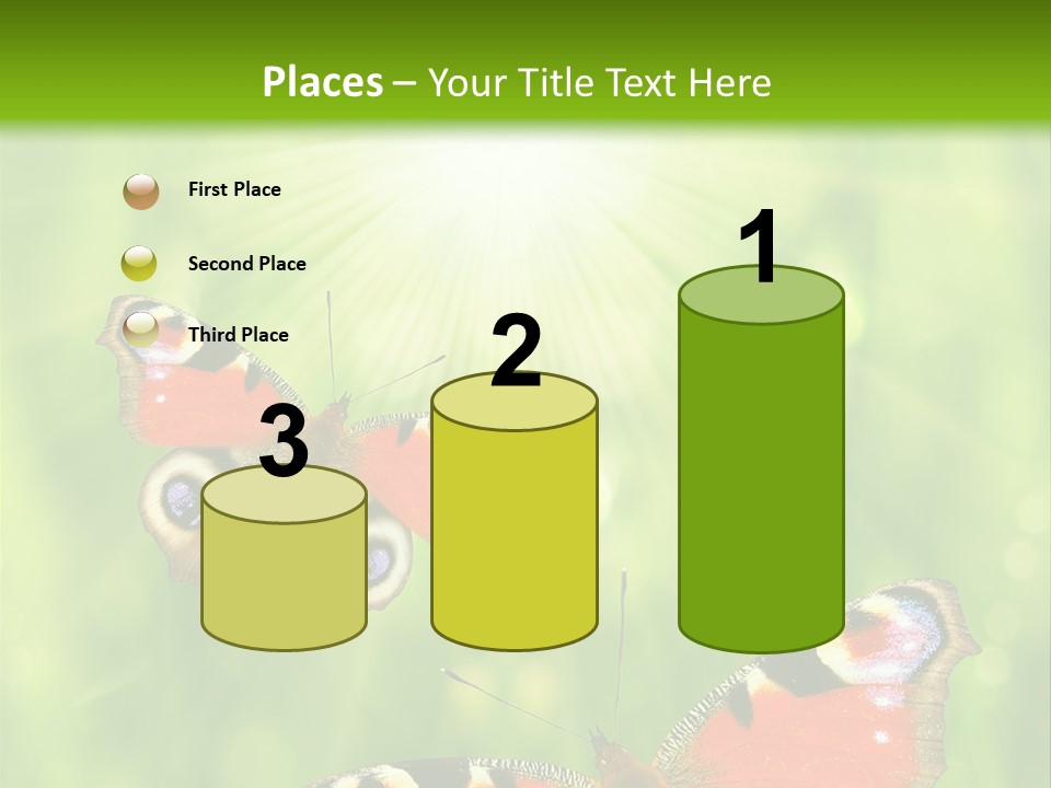 Garden Insect Dew PowerPoint Template