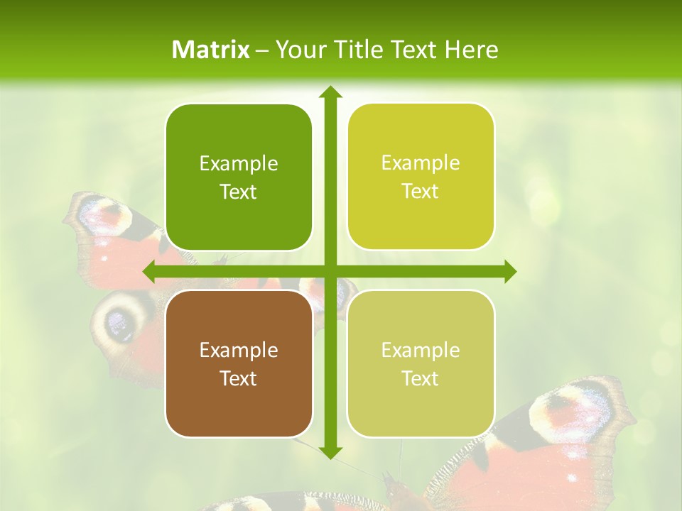 Garden Insect Dew PowerPoint Template