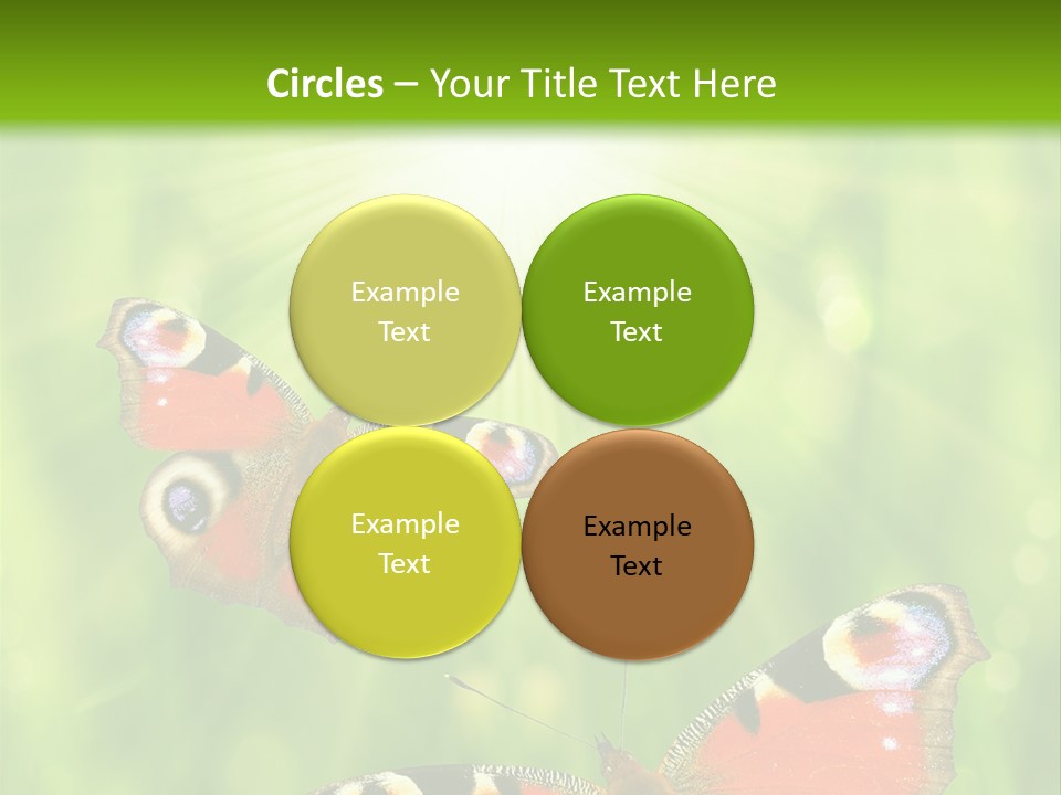 Garden Insect Dew PowerPoint Template