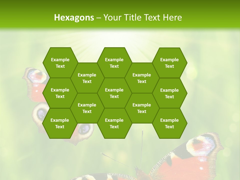 Garden Insect Dew PowerPoint Template