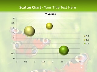 Garden Insect Dew PowerPoint Template