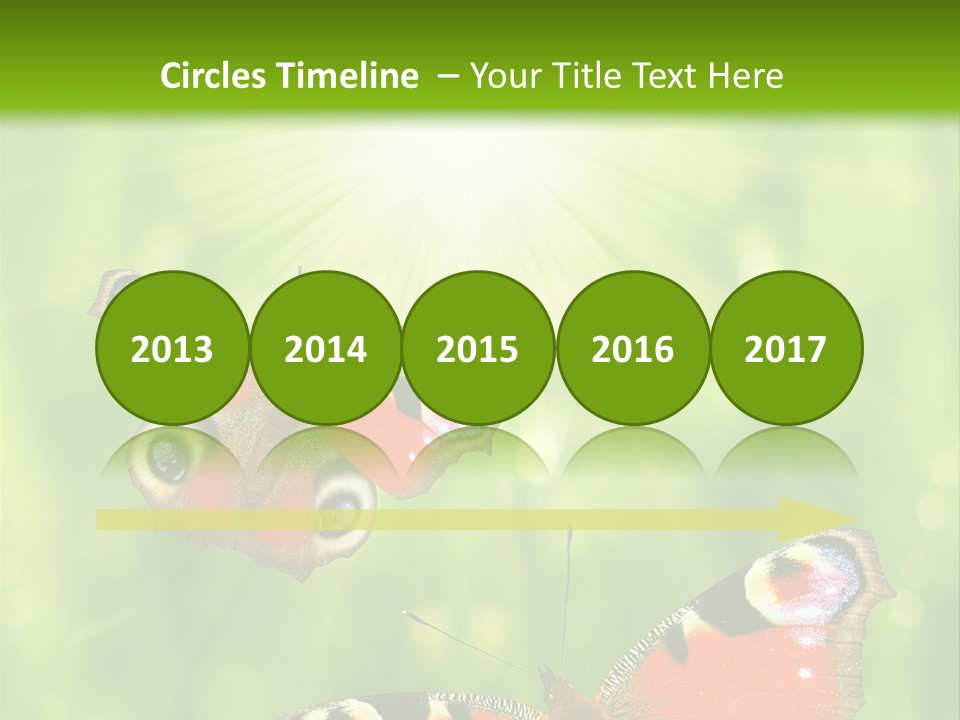 Garden Insect Dew PowerPoint Template