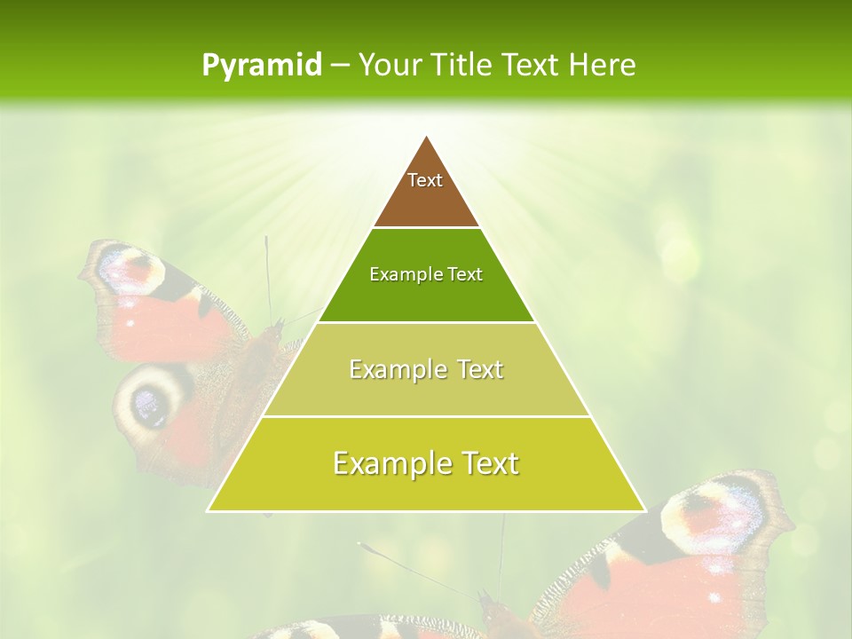 Garden Insect Dew PowerPoint Template