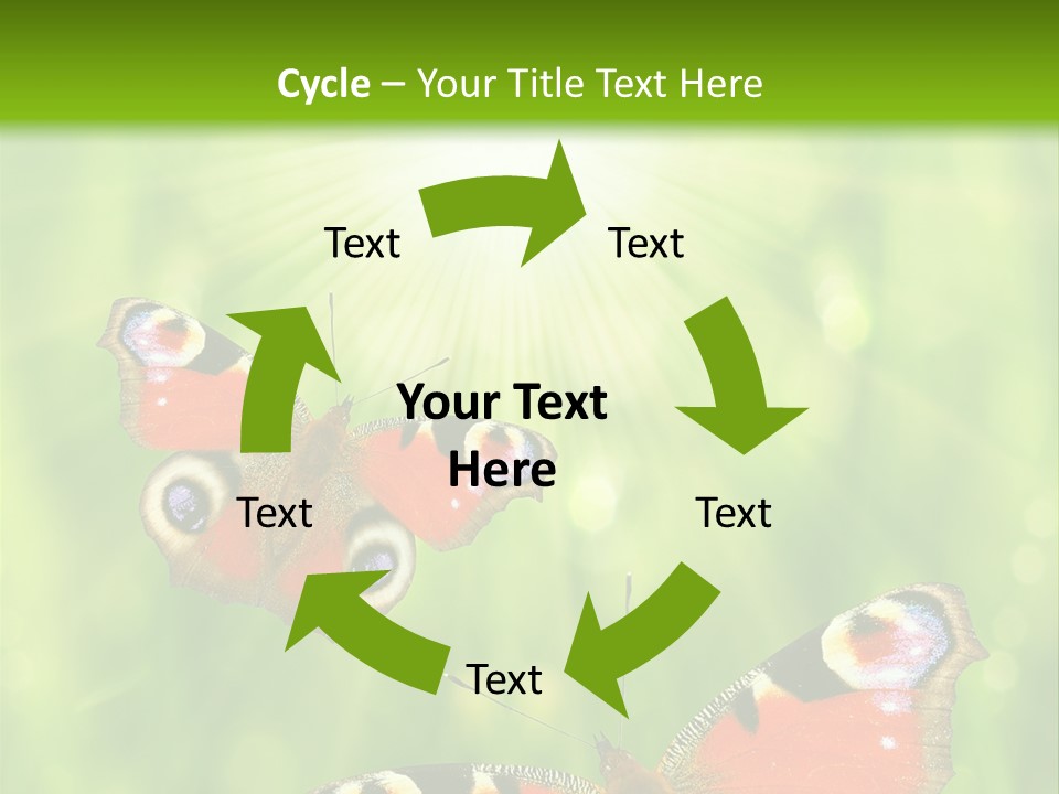 Garden Insect Dew PowerPoint Template