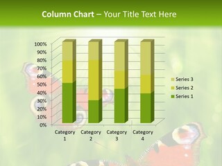 Garden Insect Dew PowerPoint Template