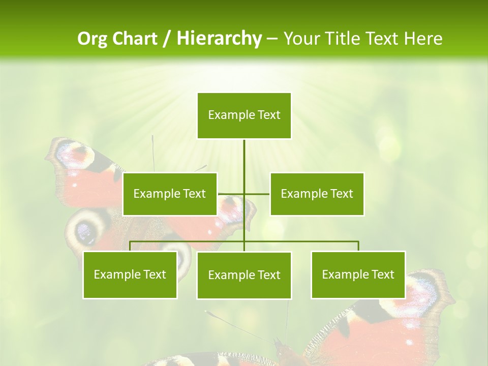Garden Insect Dew PowerPoint Template