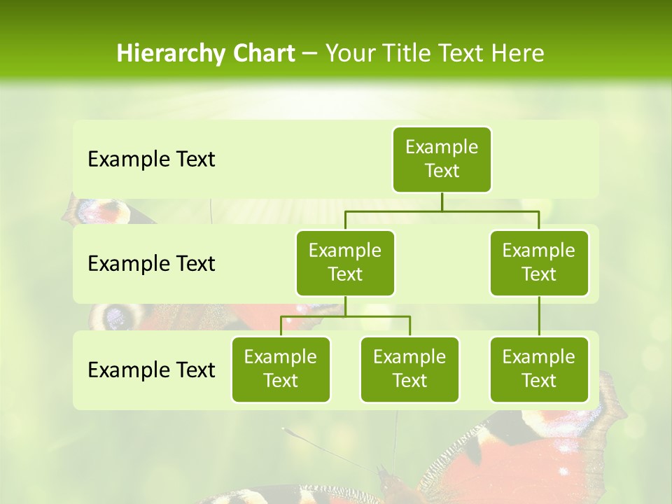 Garden Insect Dew PowerPoint Template