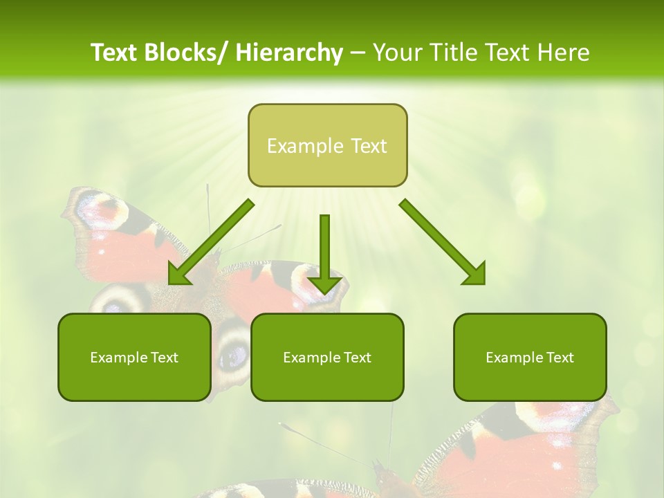 Garden Insect Dew PowerPoint Template