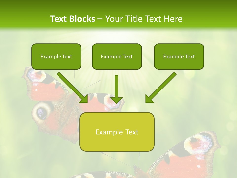 Garden Insect Dew PowerPoint Template