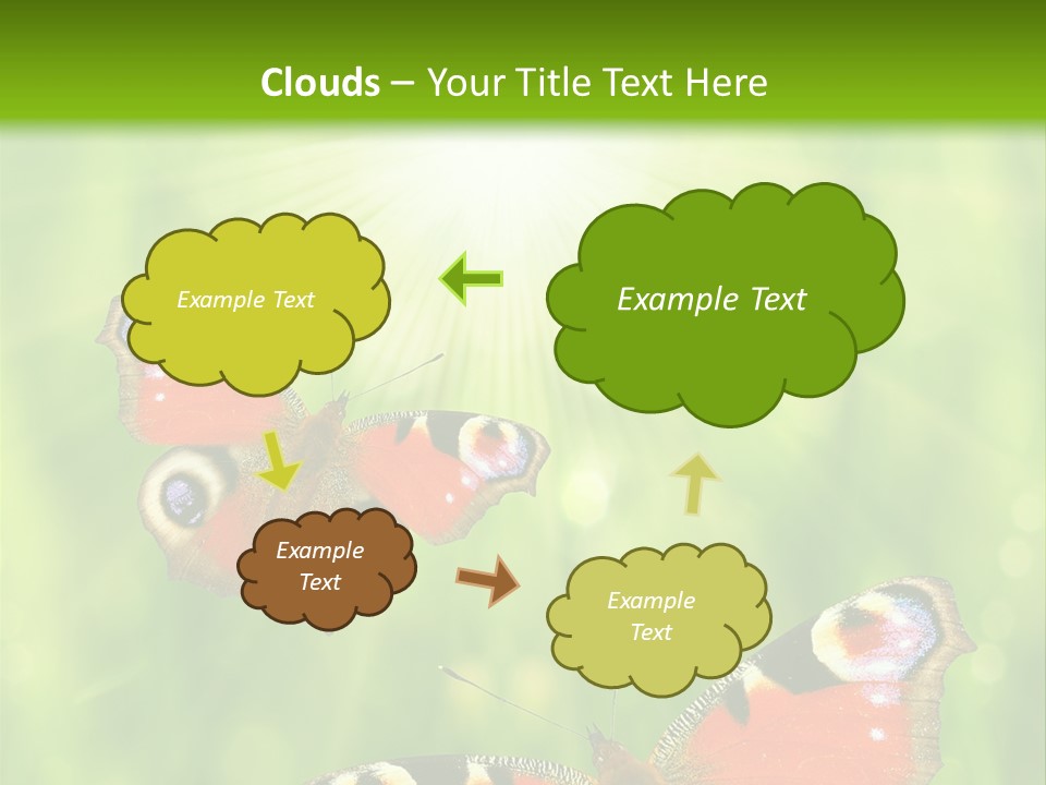 Garden Insect Dew PowerPoint Template