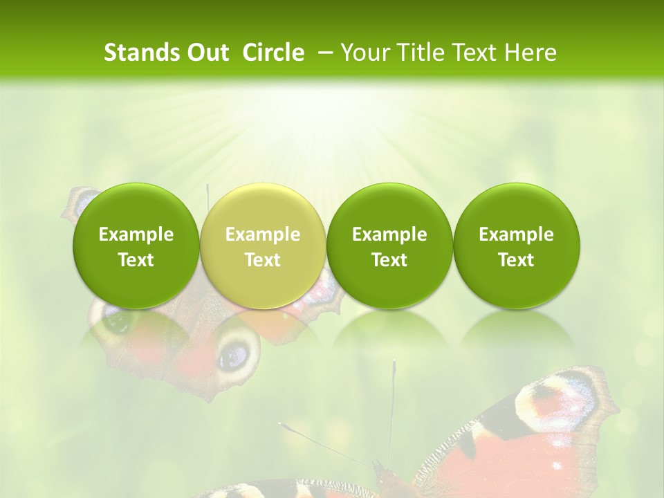 Garden Insect Dew PowerPoint Template