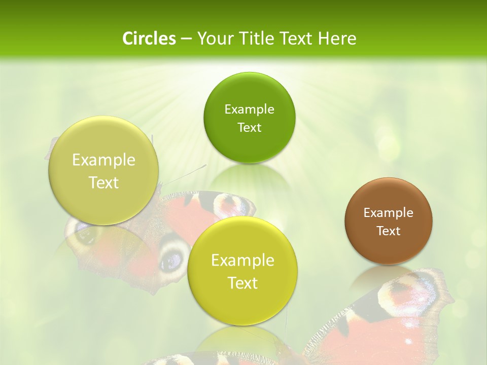 Garden Insect Dew PowerPoint Template