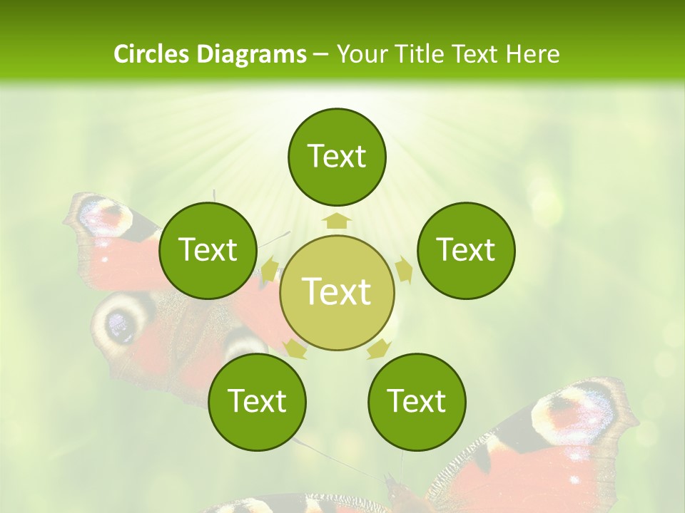 Garden Insect Dew PowerPoint Template