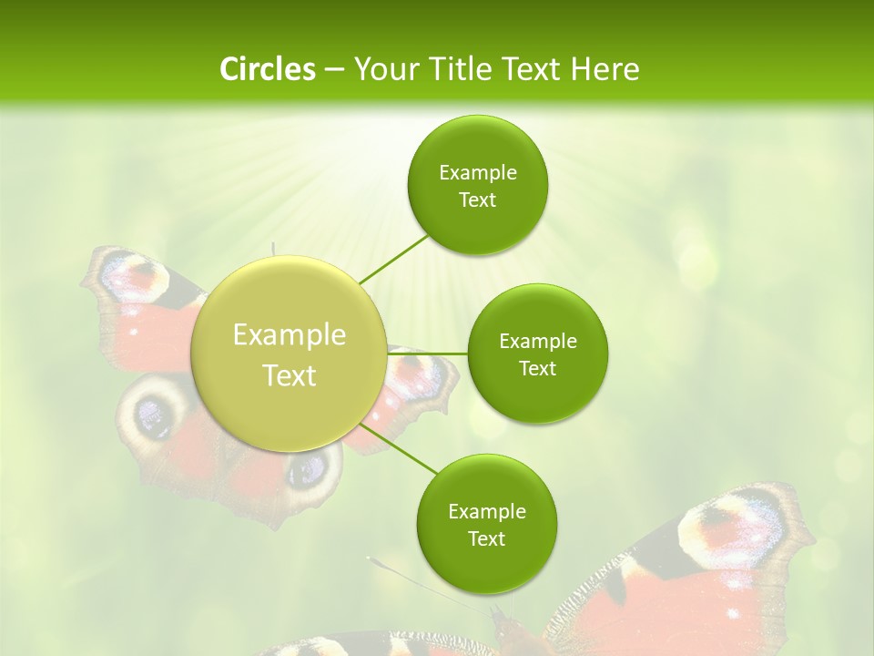 Garden Insect Dew PowerPoint Template