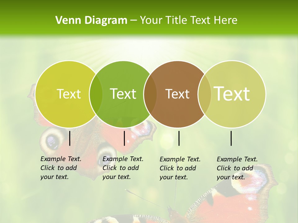 Garden Insect Dew PowerPoint Template