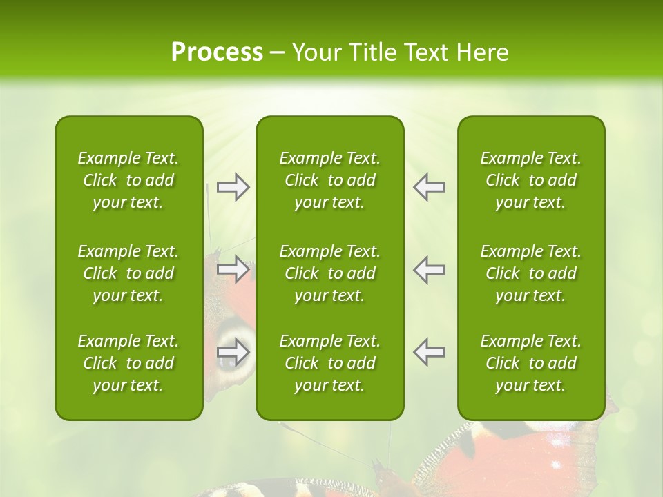 Garden Insect Dew PowerPoint Template