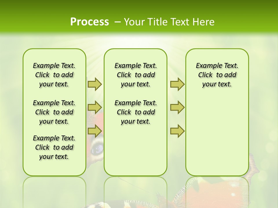 Garden Insect Dew PowerPoint Template