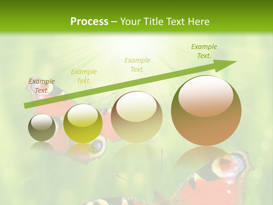 Garden Insect Dew PowerPoint Template