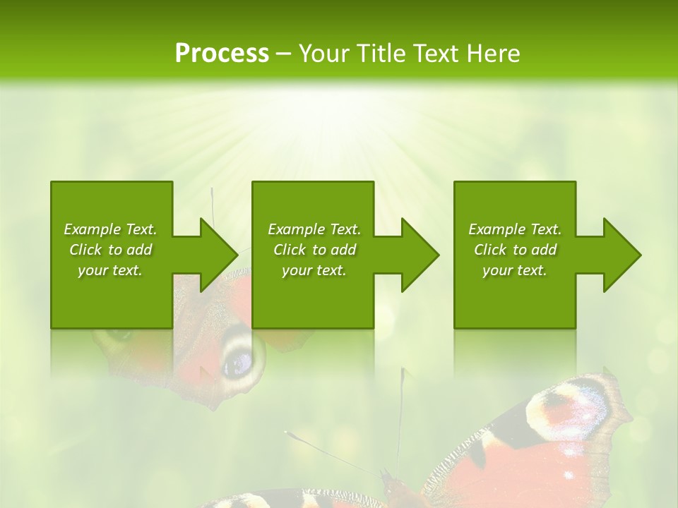 Garden Insect Dew PowerPoint Template