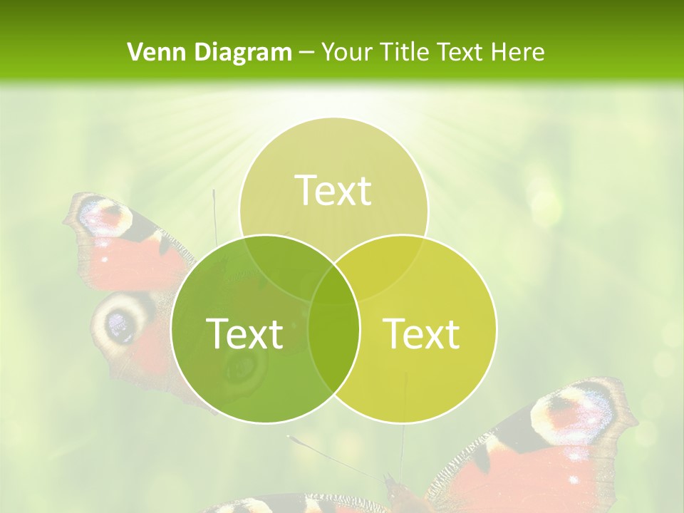 Garden Insect Dew PowerPoint Template