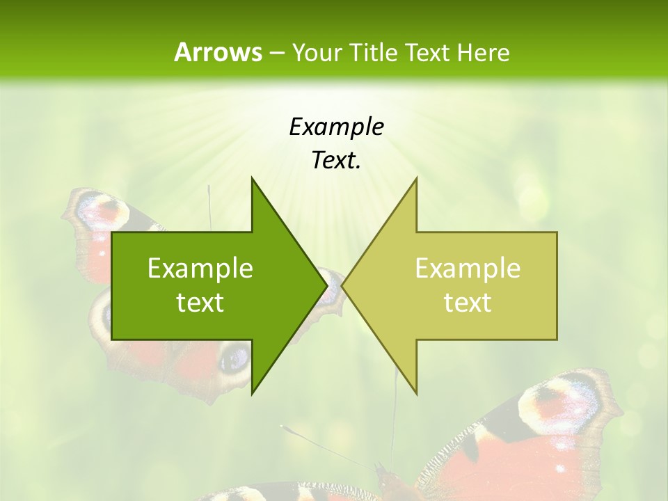 Garden Insect Dew PowerPoint Template