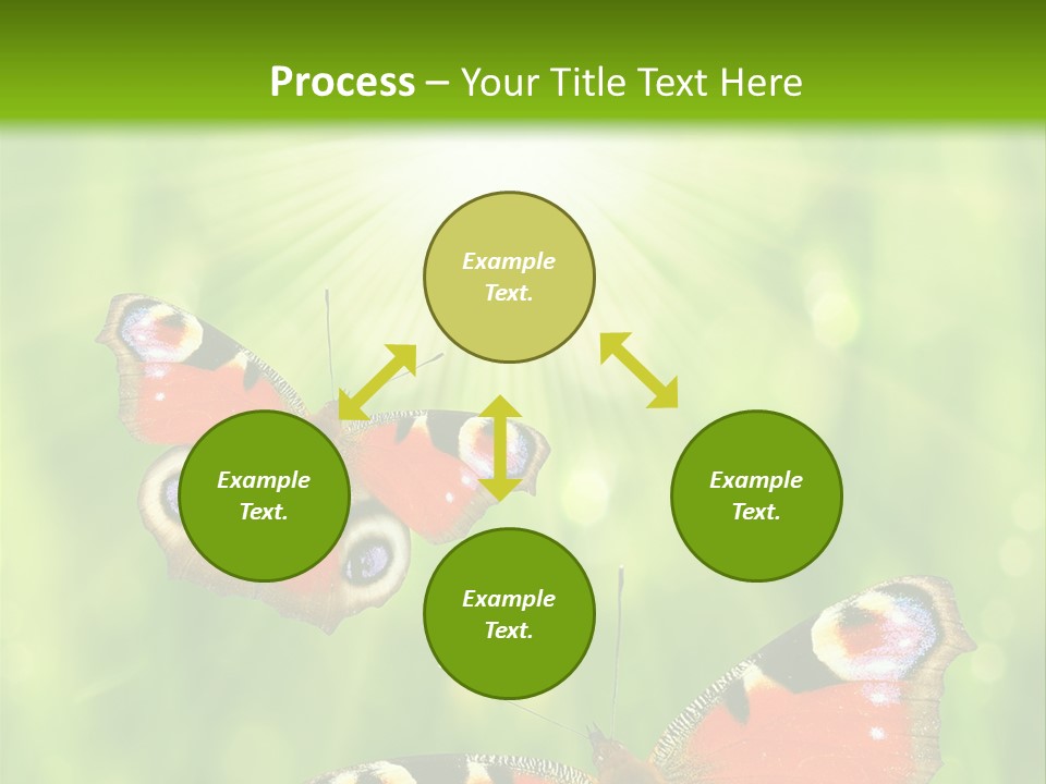 Garden Insect Dew PowerPoint Template