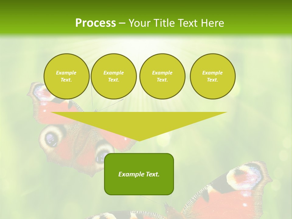 Garden Insect Dew PowerPoint Template