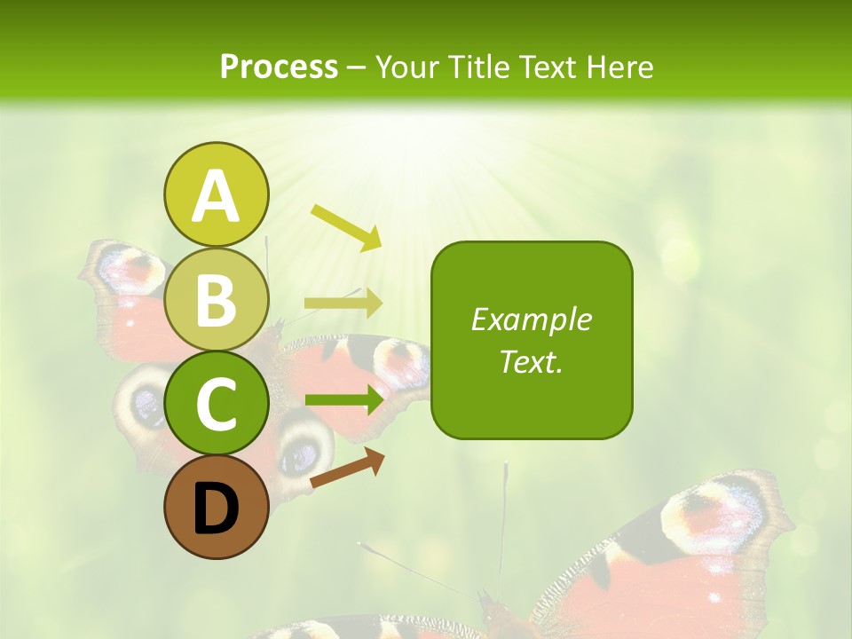 Garden Insect Dew PowerPoint Template