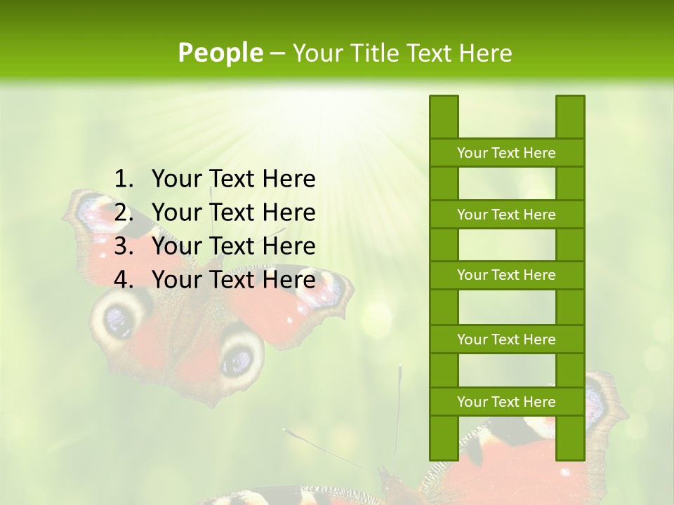 Garden Insect Dew PowerPoint Template