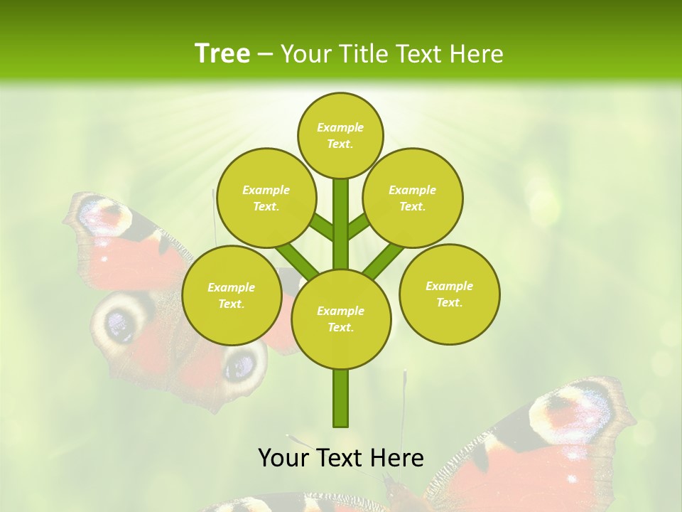 Garden Insect Dew PowerPoint Template