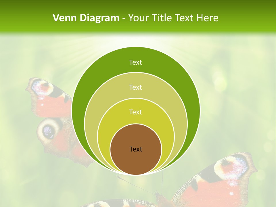 Garden Insect Dew PowerPoint Template