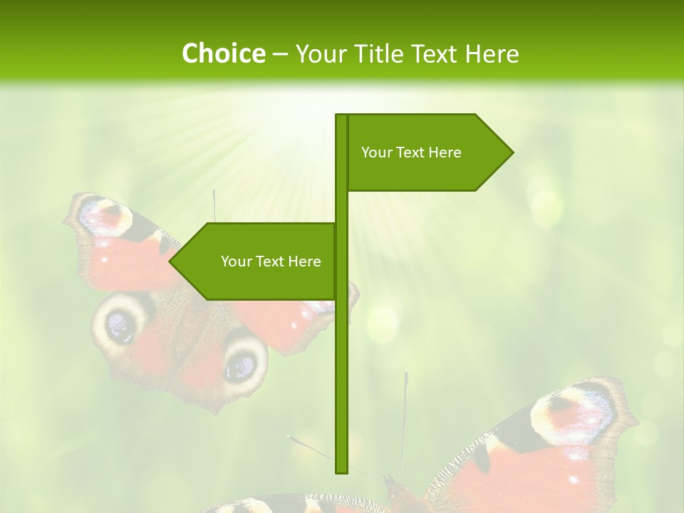 Garden Insect Dew PowerPoint Template