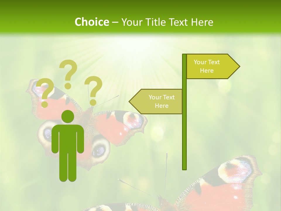 Garden Insect Dew PowerPoint Template