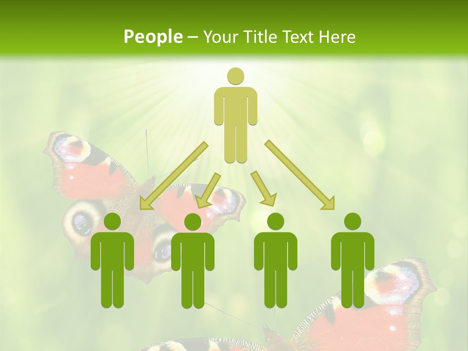 Garden Insect Dew PowerPoint Template