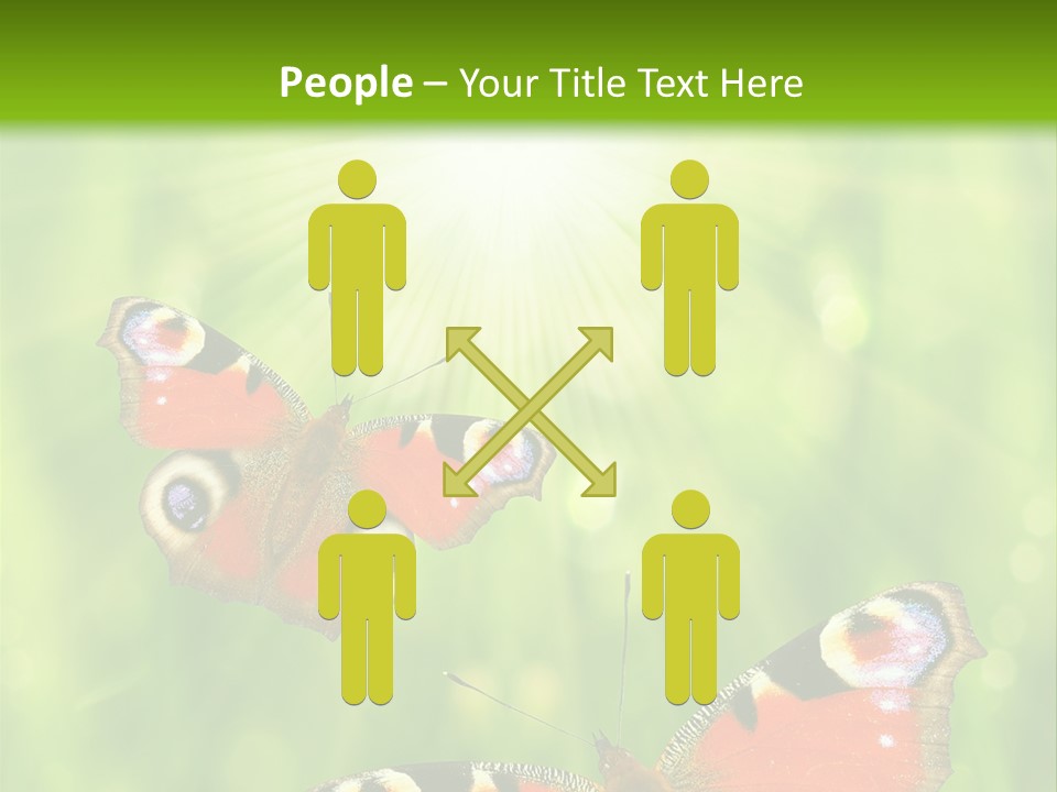 Garden Insect Dew PowerPoint Template