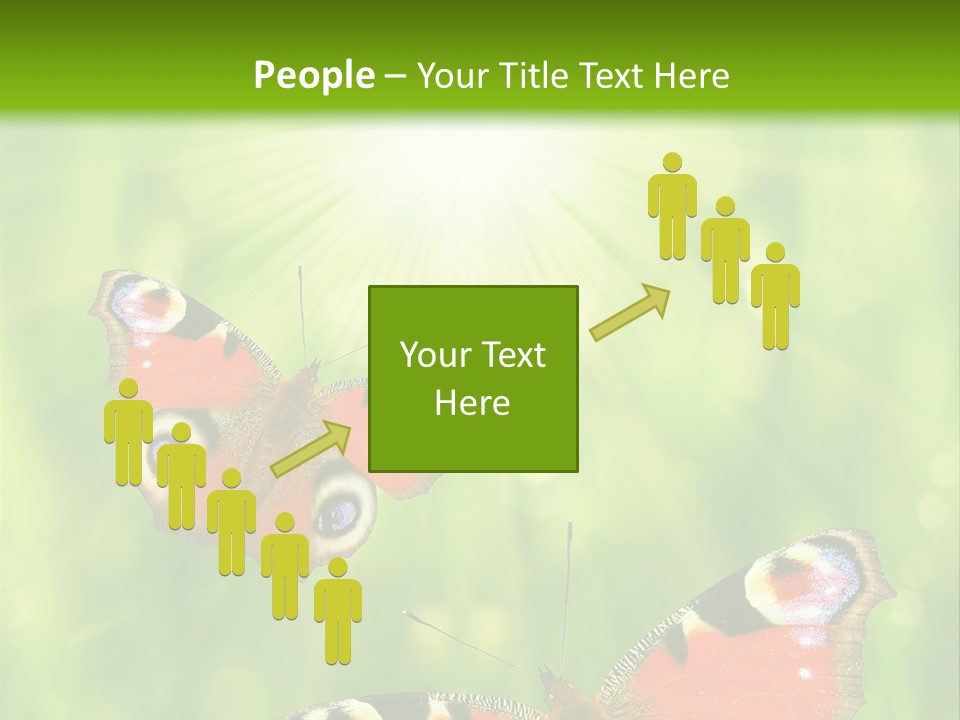 Garden Insect Dew PowerPoint Template