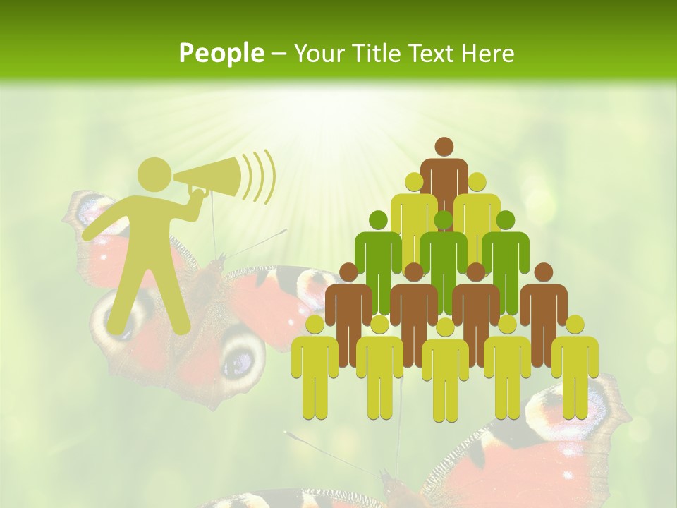 Garden Insect Dew PowerPoint Template